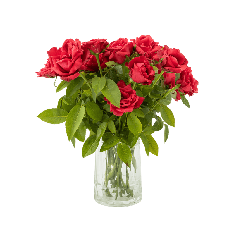 Vase Flowers 01