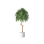 Plant Decor 05