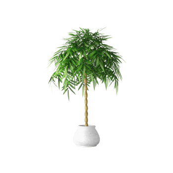 Plant Decor 07